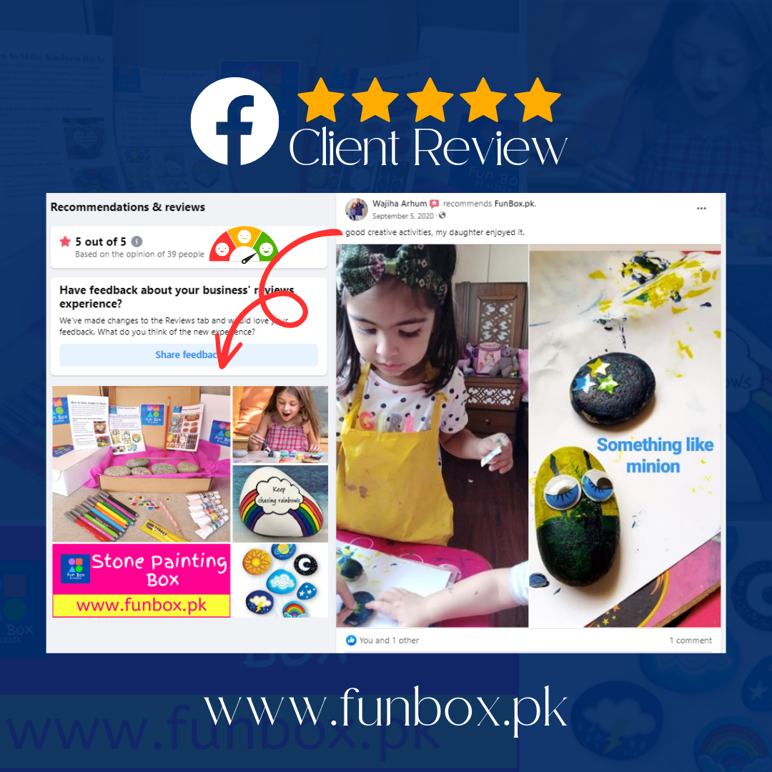 Stone Painting FunBox