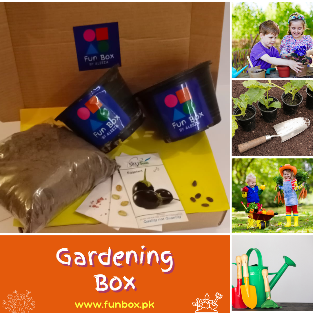 Gardening Box
