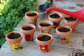 Gardening Box