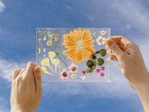 Suncatcher Creations FunBox