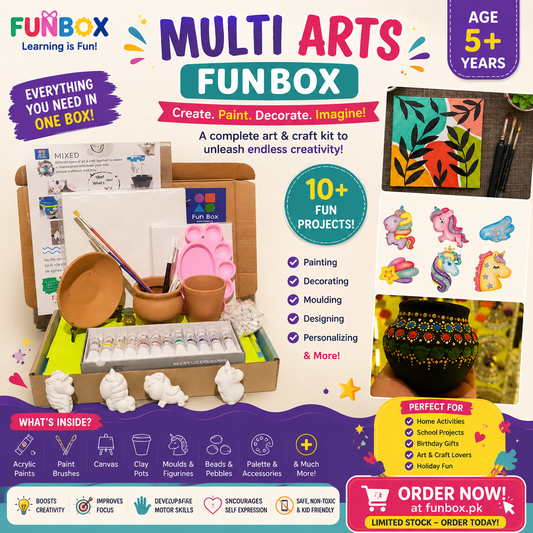 Multi Arts Funbox