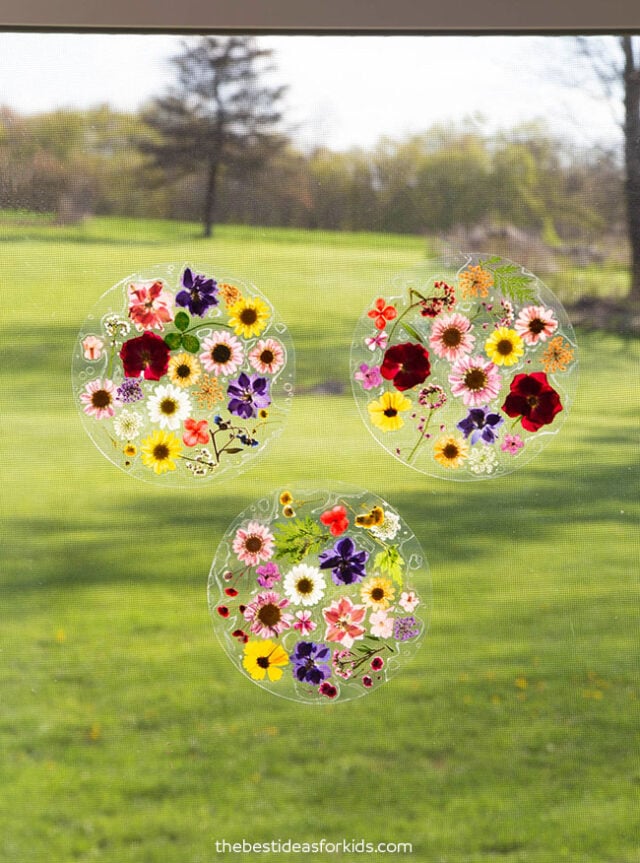 Suncatcher Creations FunBox