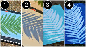 Suncatcher Creations FunBox