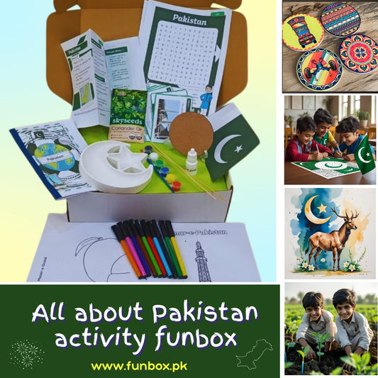 All about Pakistan Activity Funbox