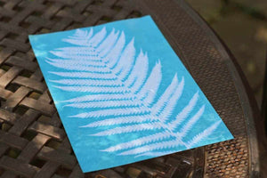 Suncatcher Creations FunBox