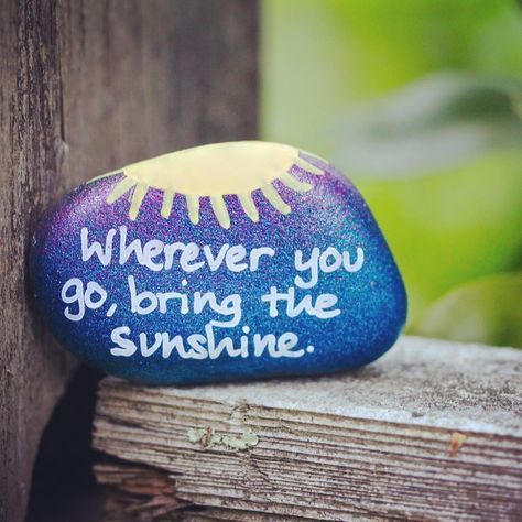 Stone Painting FunBox