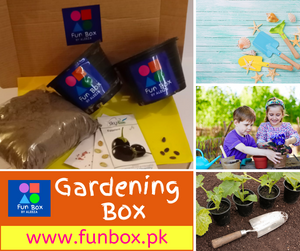 Gardening Box