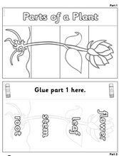Load image into Gallery viewer, Nursery/KG-1 Full Year Learning Pack
